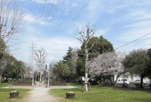 コーポサンレイクⅡ 公園：宇喜田東公園　725m