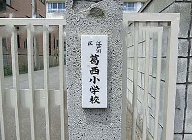 ニューパレス中葛西 小学校：江戸川区立葛西小学校　553m