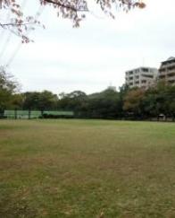 マンションルピナス 公園：堀江公園　1269m