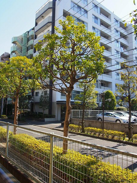 後藤マンション 周辺は緑が多く過ごしやすいです。