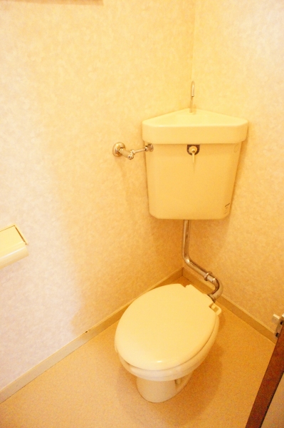 エクセルサエ キレイなトイレです
