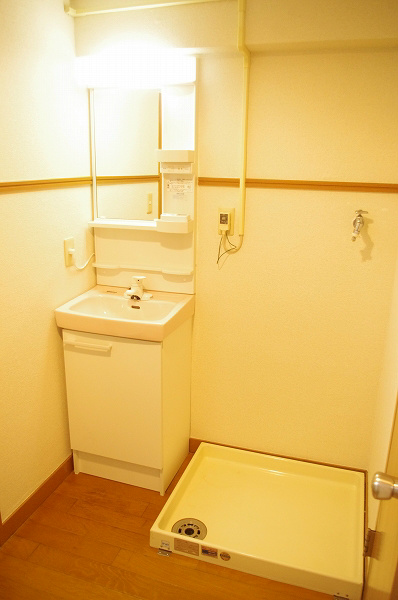 コーポ近江屋３ 洗面台、脱衣スペースは広さがあります。