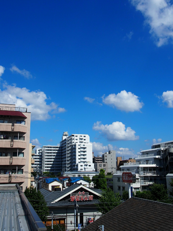フローリッシュ新清 最上階からの眺めです。