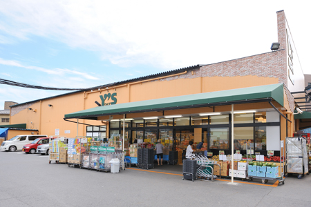 第９コーポマキ スーパー：Y's mart(ﾜｲｽﾞﾏｰﾄ) 中葛西店　81m