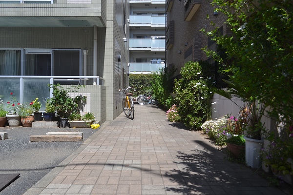 クレセント小坂部 建物その他５_343_664.jpg
