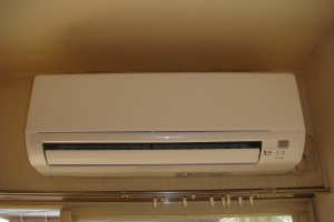 コスモピア s-DSC09873.jpg