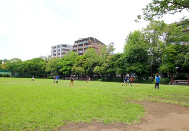 メゾンモリ 公園：ﾌｧﾐﾘｰｽﾎﾟｰﾂ広場　210m