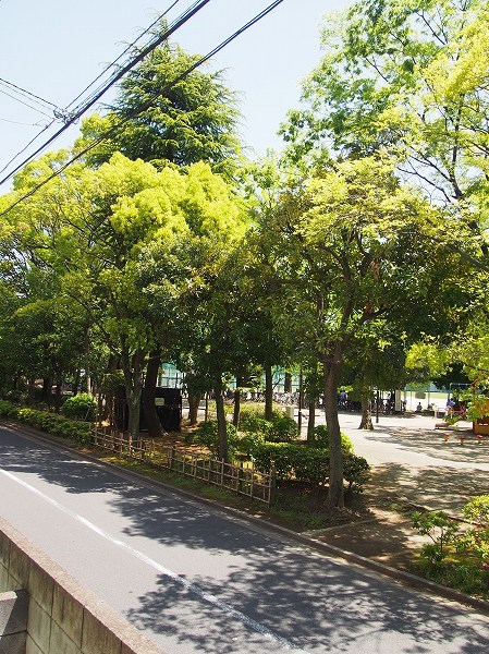 第３中川ハイツ 目の前公園なので、日の入りや日中の環境もきもちがいいですよ！