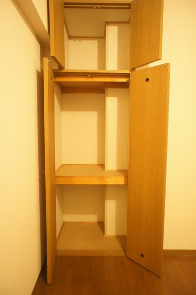 グロリア壱番館 洋室収納です。奥行きがあるのでたくさん入ります。