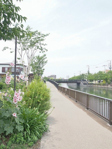 アネックス田中 裏手には整備された川があり、四季折々の花が咲きます。